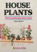 House plants`
